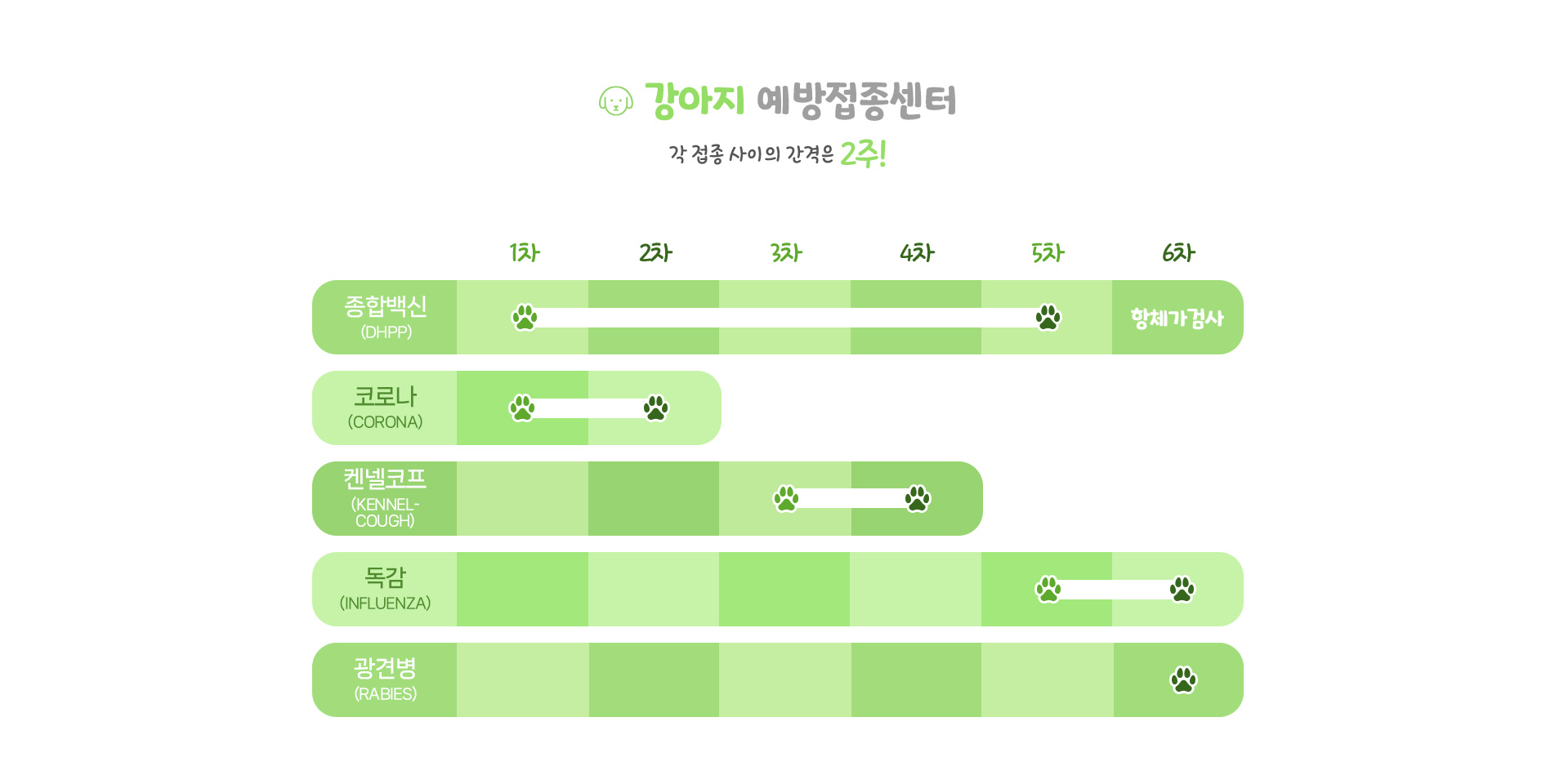 강아지 예방접종