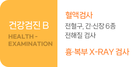 건강검진B-혈액검사,흉복부X-ray검사